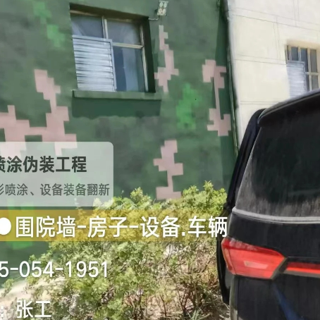 河北数码迷彩漆施工